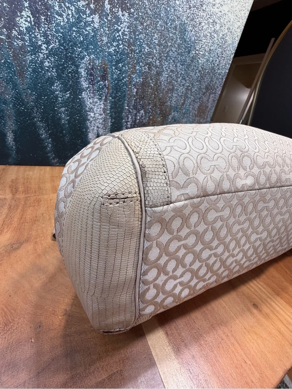 Coach 2013 Soft Glam Op Art Pearlescent Carryall Bag EUC